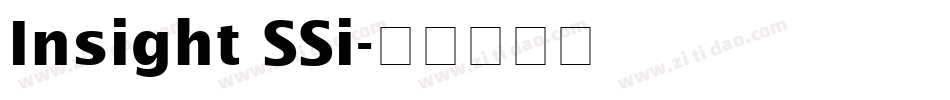 Insight SSi字体转换